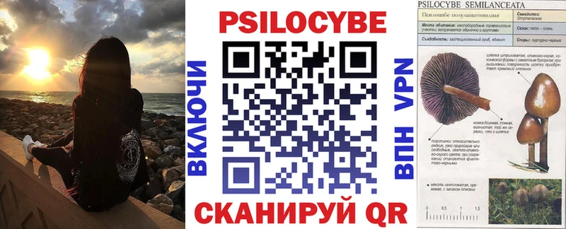 Купить закладки  Нижняя Салда  Псилоцибиновые грибы Cubensis 